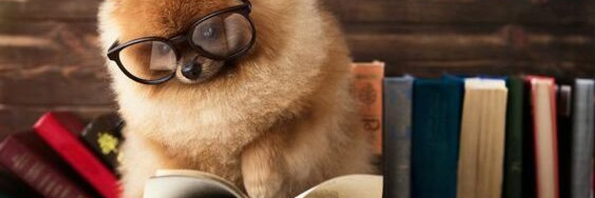 Пес Патрон та інші книги про собак фото