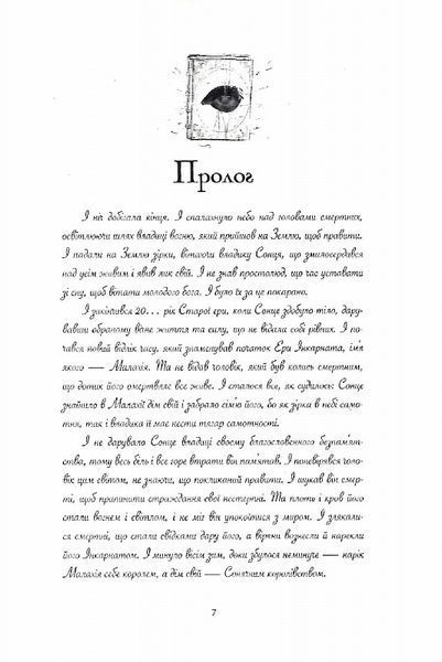 Сталь та Сонячний шторм. Книга ІІ 1016900 фото