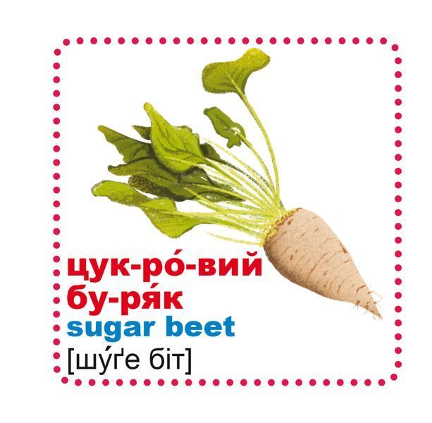 Розумні картки. Із чого це зроблено. 30 карток 1007416 фото
