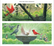 Жеврик і Жаринка 1027719 фото 4