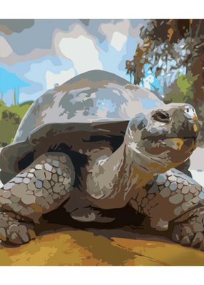 Картина за номерами Strateg Доросла черепаха 40х50 см (GS582) 1021388 фото