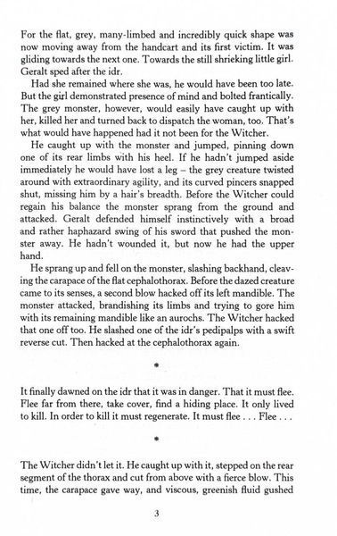 Season of Storms. The Witcher. Book 0.2 1029590 фото