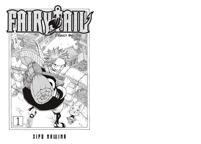 Fairy Tail. Том 1 1032207 фото