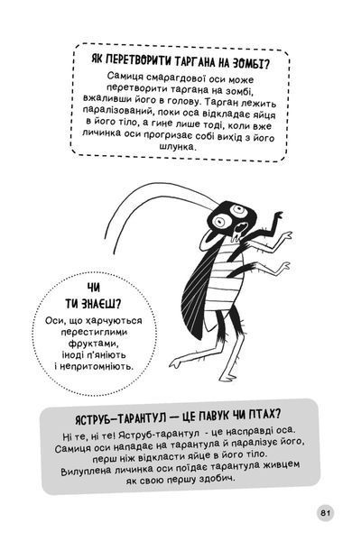 Чому насправді мій кіт не гарчить? 1034391 фото