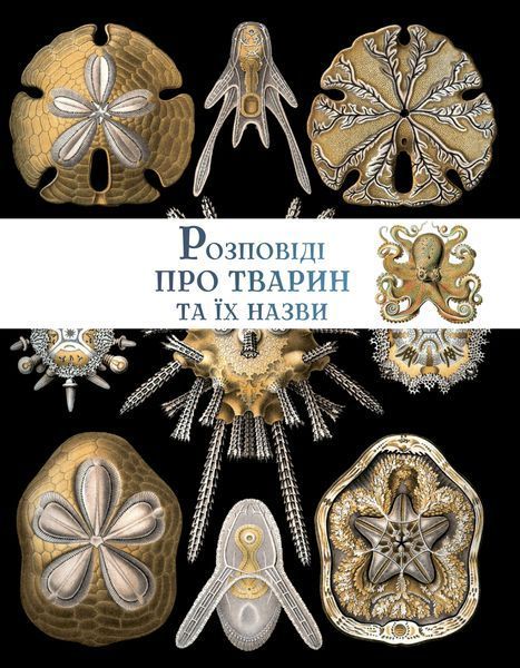 Розповіді про тварин та їх назви 1016650 фото