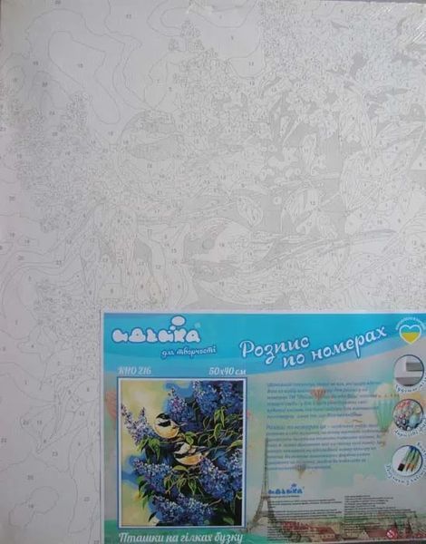 Розпис по номерах Пташки наілках бузку 40х50 152734 фото