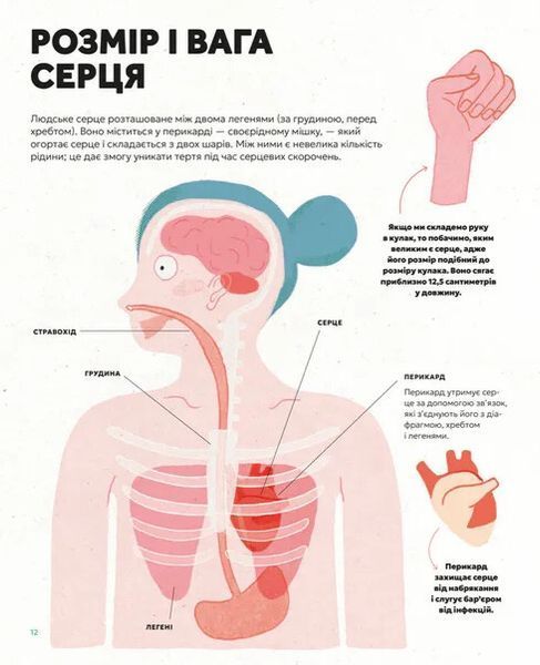 Серце. Історія, наука і багато любові 1034444 фото