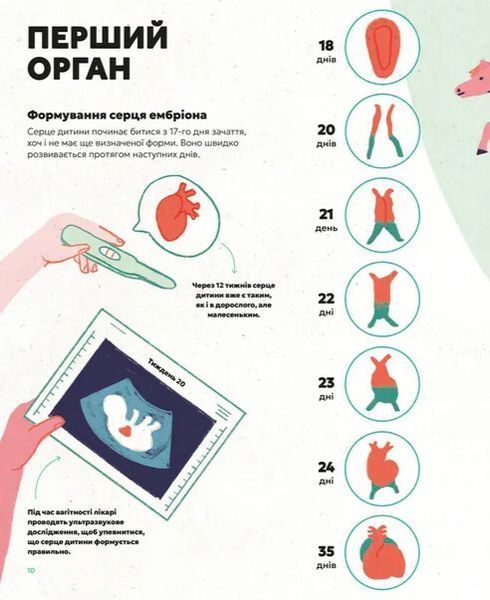 Серце. Історія, наука і багато любові 1034444 фото