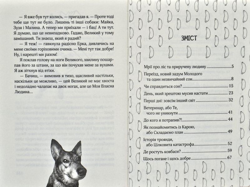 Ключик до Ельфа 170694 фото