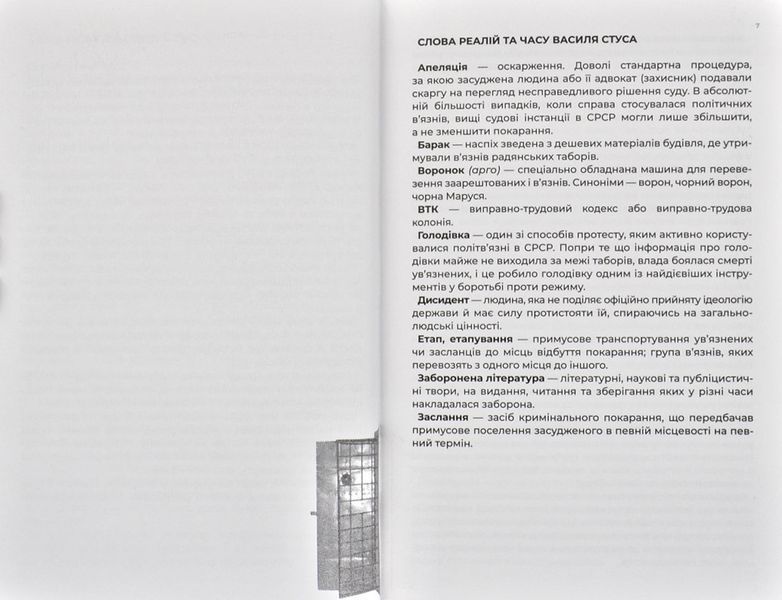 Листи до сина. Василь Стус 172587 фото