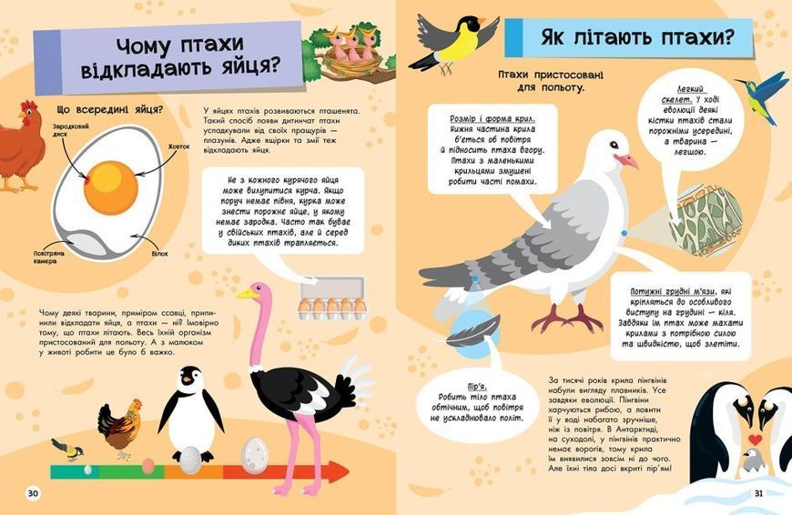 Велика енциклопедія для чомусика 1016010 фото