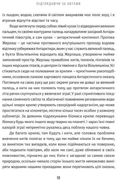 Підглядаючи за китами: Минуле, сьогодення та майбутнє найбільших у світі тварин 1017089 фото