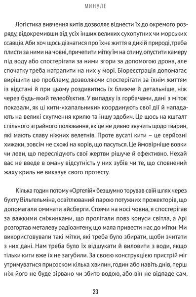 Підглядаючи за китами: Минуле, сьогодення та майбутнє найбільших у світі тварин 1017089 фото