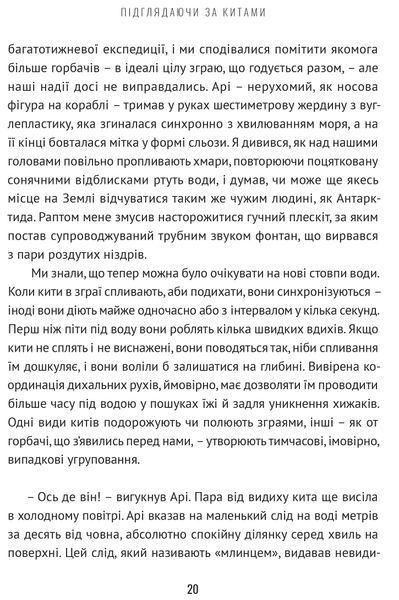 Підглядаючи за китами: Минуле, сьогодення та майбутнє найбільших у світі тварин 1017089 фото