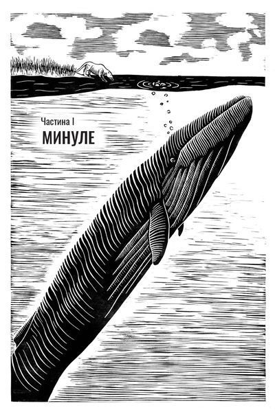 Підглядаючи за китами: Минуле, сьогодення та майбутнє найбільших у світі тварин 1017089 фото