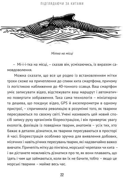 Підглядаючи за китами: Минуле, сьогодення та майбутнє найбільших у світі тварин 1017089 фото