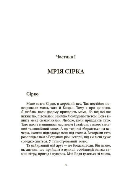 Мрія Сірка. Оповідання для дітей про людяність, сміливість і здійснення мрій 1029737 фото