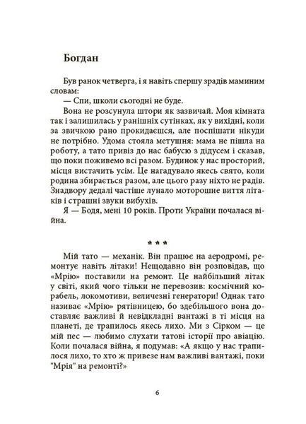 Мрія Сірка. Оповідання для дітей про людяність, сміливість і здійснення мрій 1029737 фото