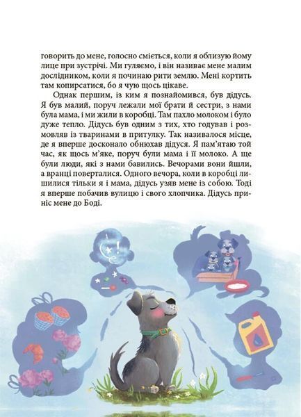 Мрія Сірка. Оповідання для дітей про людяність, сміливість і здійснення мрій 1029737 фото