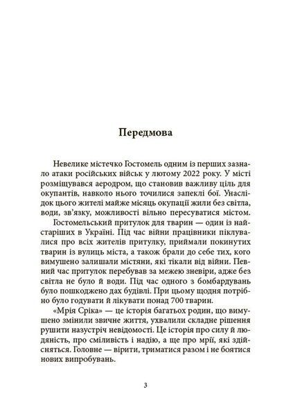 Мрія Сірка. Оповідання для дітей про людяність, сміливість і здійснення мрій 1029737 фото
