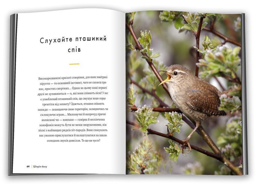 Шінрін-йоку. Цілюще мистецтво лісотерапії 1028076 фото