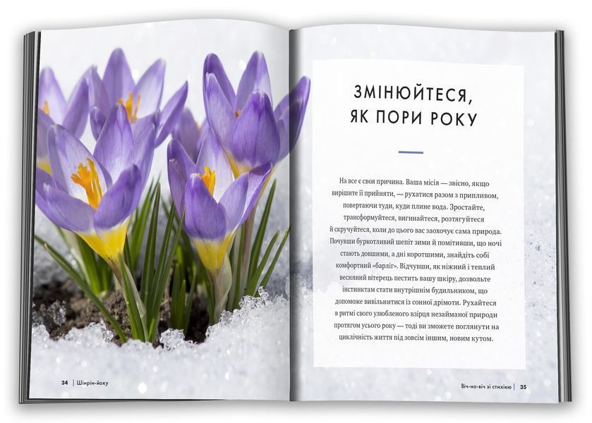 Шінрін-йоку. Цілюще мистецтво лісотерапії 1028076 фото