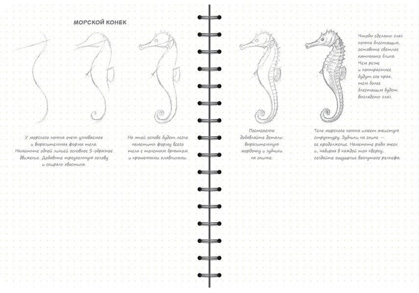 SketchBook. Малюємо море 1026907 фото