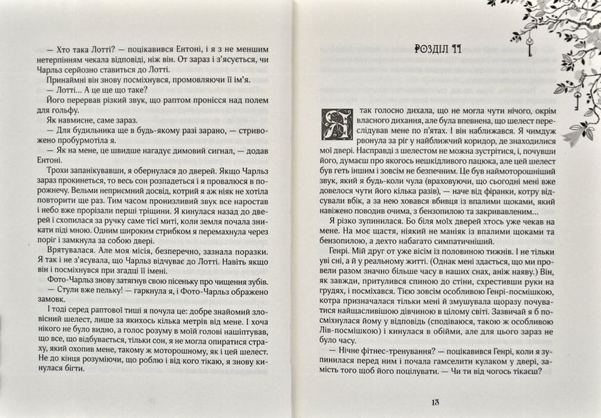 Зільбер. Друга книга сновидінь 161053 фото