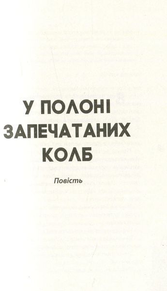 Розвилка 1010309 фото