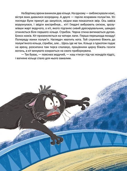 Корсар, або пухнаста історія з кігтями 1022122 фото
