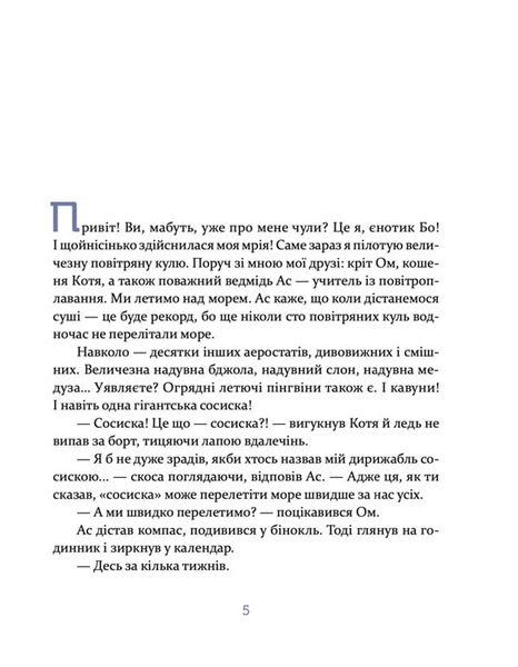 Єнотик Бо і дивний-дивний сніг. Книга 2 1027507 фото