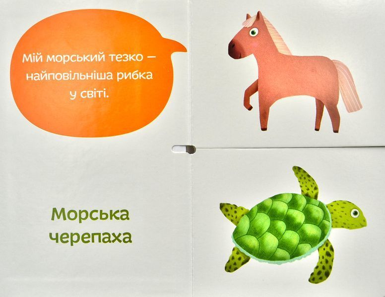 Морські тезки. Міксуй і вивчай (картон) 1000234 фото