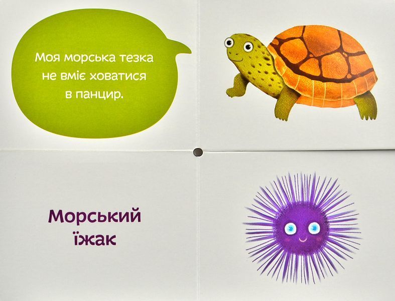 Морські тезки. Міксуй і вивчай (картон) 1000234 фото