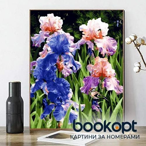 Картина по номерах Bookopt Яскраві іриси 40х50 (ВК1262) 1004780 фото
