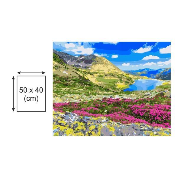 Картина по номерах Bookopt Карпати 40х50 (BK1350) 1011481 фото