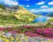 Картина по номерах Bookopt Карпати 40х50 (BK1350) 1011481 фото 1