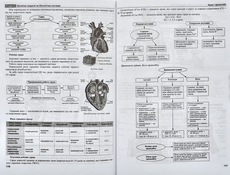 Біологія в таблицях і схемах. Підготовка до ЗНО 1005690 фото