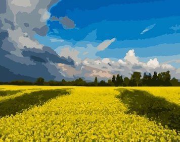 Картина по номерах Bookopt Українське поле 40х50 (BK2292) 1011591 фото