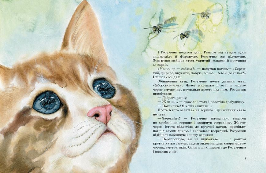 Коти. Такі, як ти 1024565 фото