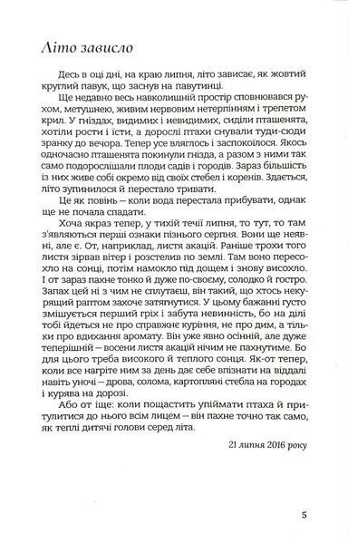 Стежка тудою 1046252 фото