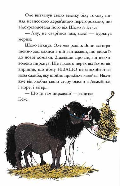 Вітер у гривці. Вівсяна банда. Книга 1 159294 фото