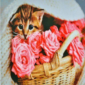 Алмазна мозаїка Котик у кошику 50х50 см GA0012 1014449 фото