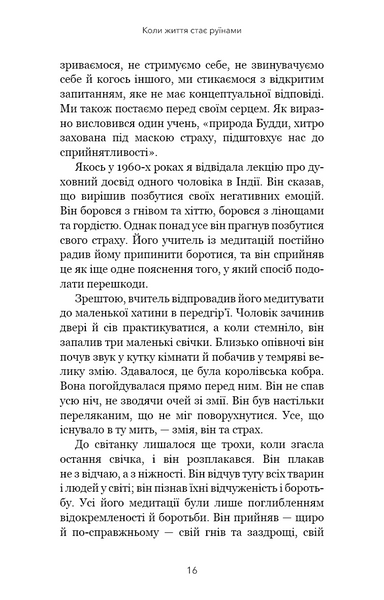 Коли життя стає руїнами. Дієві поради для важких часів 1030701 фото