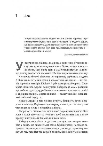 Відьма і вампірка 1023750 фото