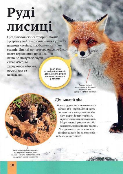 Дитяча енциклопедія хижаків 1018642 фото