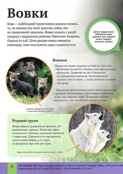 Дитяча енциклопедія хижаків 1018642 фото