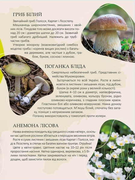 Перлини природи України 1016058 фото