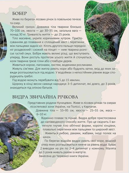 Перлини природи України 1016058 фото
