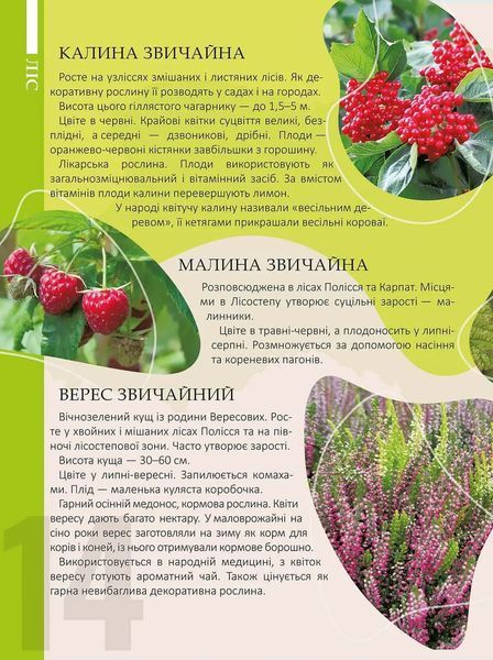 Перлини природи України 1016058 фото