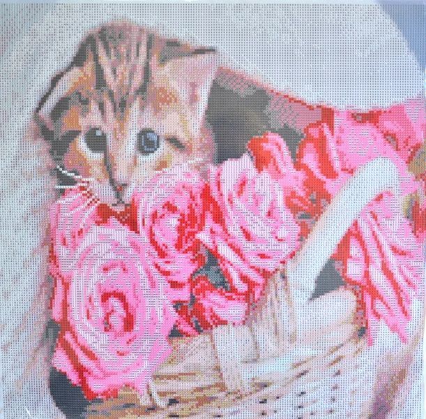 Алмазна мозаїка Котик у кошику 50х50 см GA0012 1014449 фото